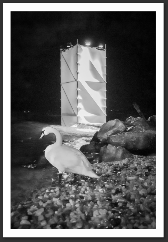 Festi'neuch Afternatives Silent Party Case à chocs