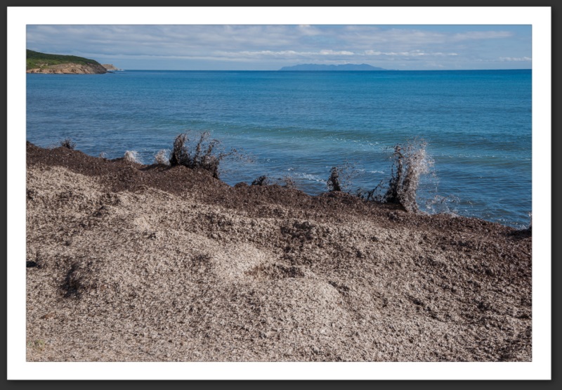 Corse Bastia Centuri Cap Corse Calvi Porto Îles Sanguinaires Myrte Vin Mer Méditerrannée