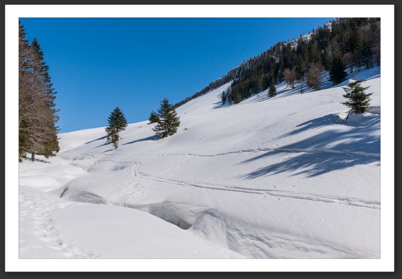 Combe Biosse Parc Chasseral randonnée raquette Suisse