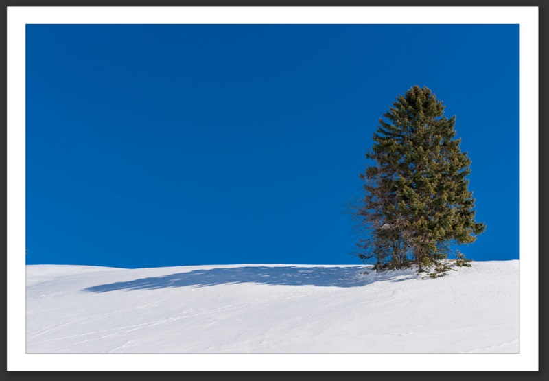 Combe Biosse Parc Chasseral randonnée raquette Suisse