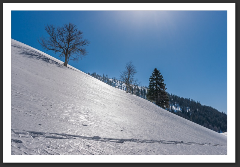 Combe Biosse Parc Chasseral randonnée raquette Suisse