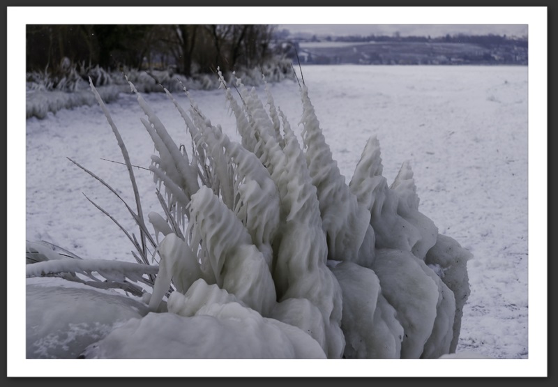 Hiver polaire Yverdon