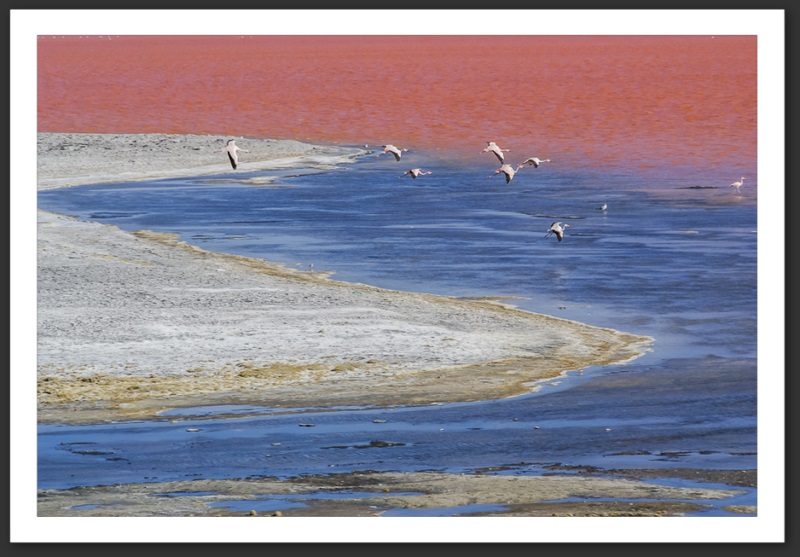 Bolivie Laguna Colorada Lagunes Laguna Verde Licancanbur