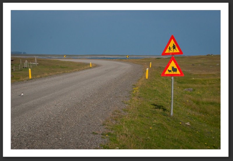 Islande Reykjavik Akureyri Eyjafjallajökull geyser volcan glacier 