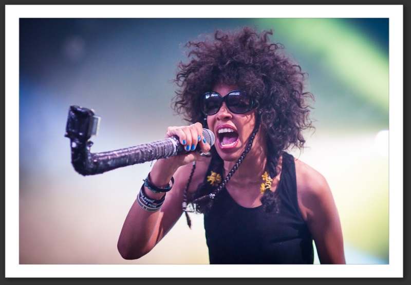 Shaka Ponk Festi'neuch 2012